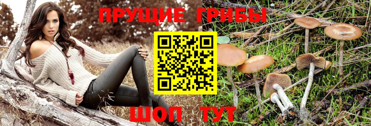 Псилоцибиновые грибы MAGIC MUSHROOMS Новочеркасск